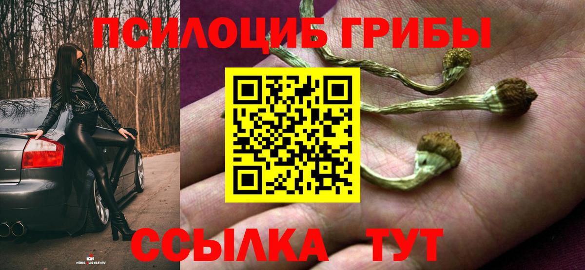 Галлюциногенные грибы мицелий Железногорск